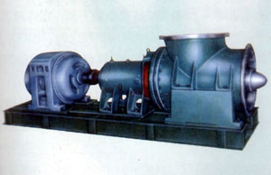 FJX強(qiáng)制循環(huán)泵 FJX強(qiáng)制循環(huán)泵